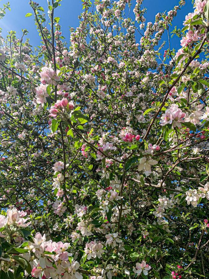 Holiday Home Les Plachettes Flobecq 外观 照片