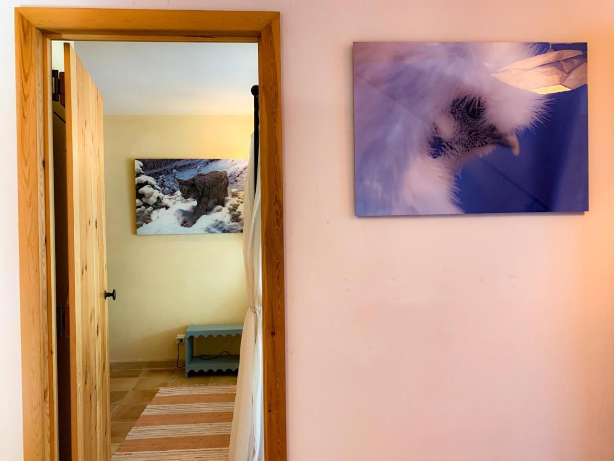 Holiday Home Les Plachettes Flobecq 外观 照片